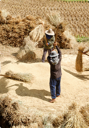 แรงงานนอกระบบ