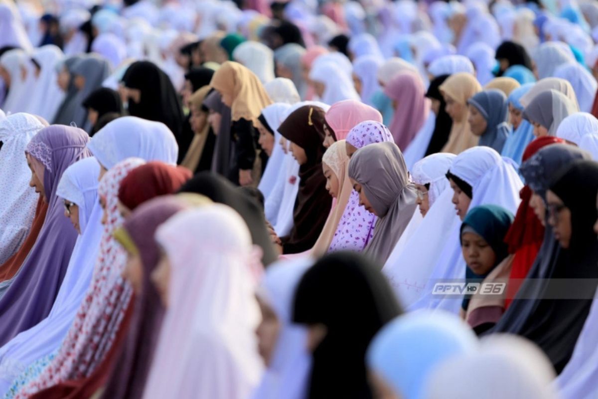 มุสลิมไทย (ผู้หญิงหม้าย/เด็กกำพร้า)